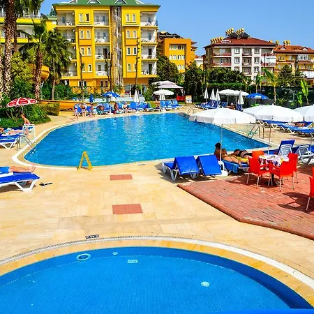 Ark And Hotel