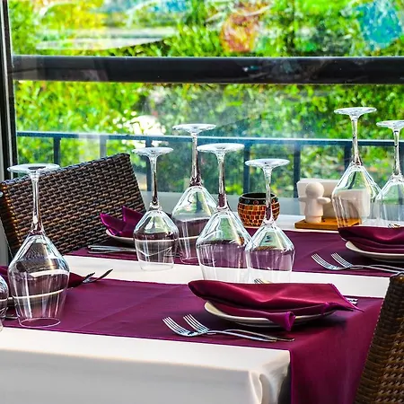 Ark And 3* אלאניה