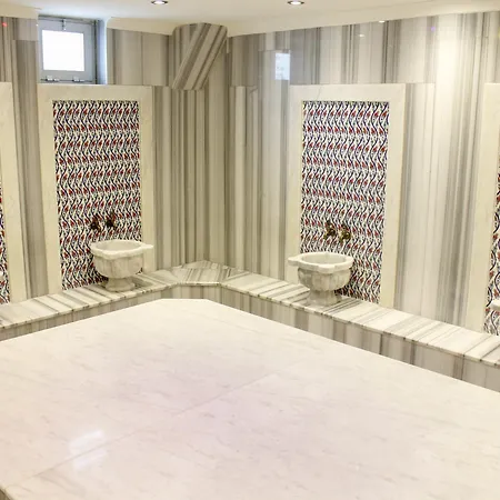 Ark And אלאניה