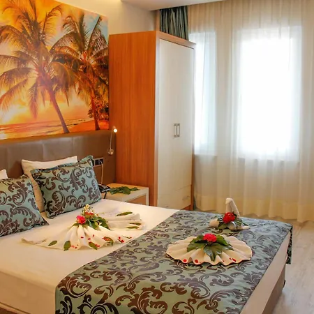 Ark And אלאניה