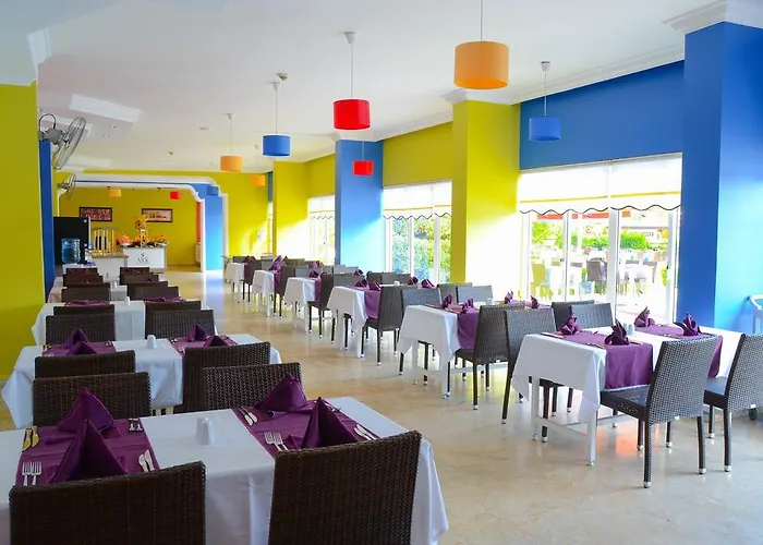 Ark And Αλάνια