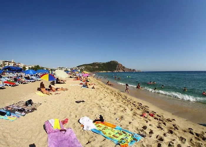 Ξενοδοχείο Ark And 3*